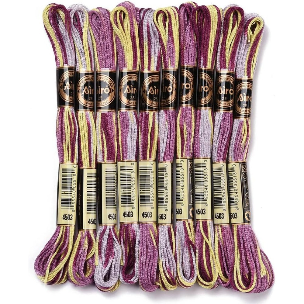 6 Strands Purple Variegated Em - Embroidery Threads 评论和价格