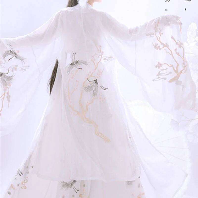 Chinese Ancient Hanfu Women's  - Embroidery Dress 评论和价格