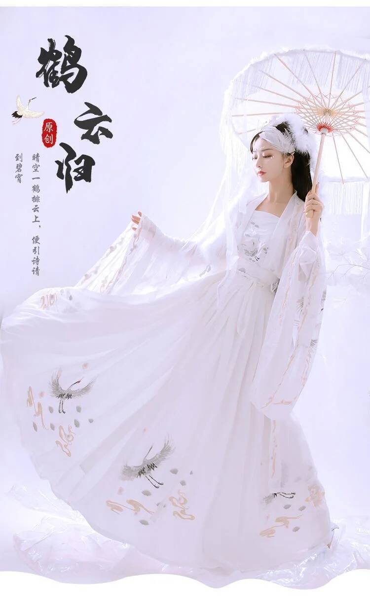 Chinese Ancient Hanfu Women's  - Embroidery Dress 评论和价格