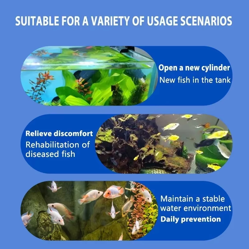 SIKEZHAN Fish Disease Treatmen - Water Soluble Stabilizer 评论和价格